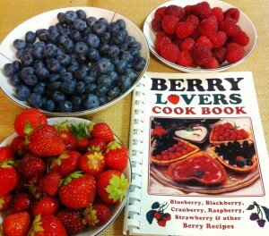 Berry lovers cookbook cropped