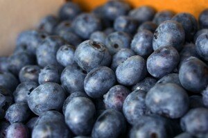 leducblueberries