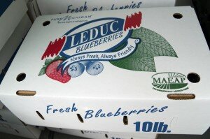 leducblueberrybox